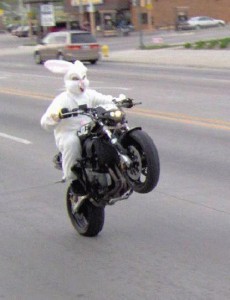 crazyeasterbunny